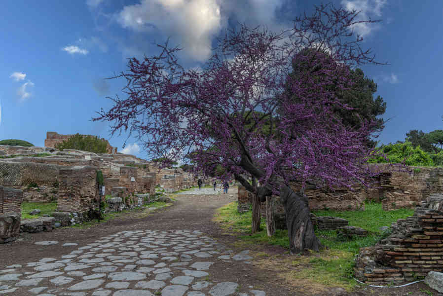 Italia - Ostia 47 - parque arqueológico de Ostia Antica.jpg